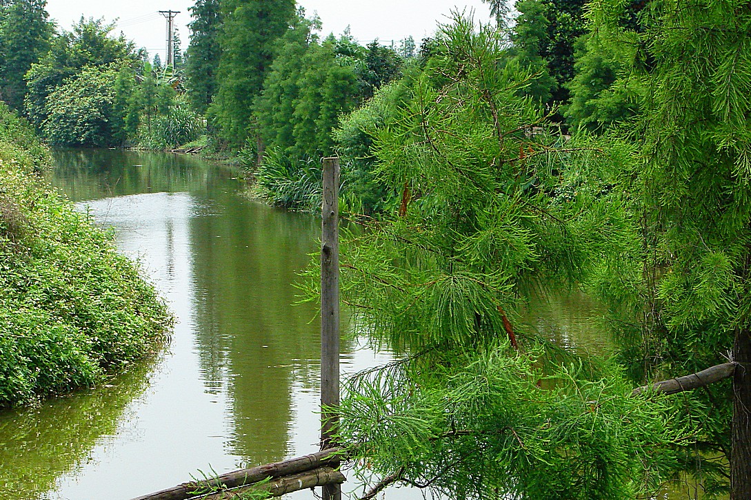 http://i.dcview.tw/gallery/201309/d385cecdb8e0a5c907b0afd62cb32ea2.jpg