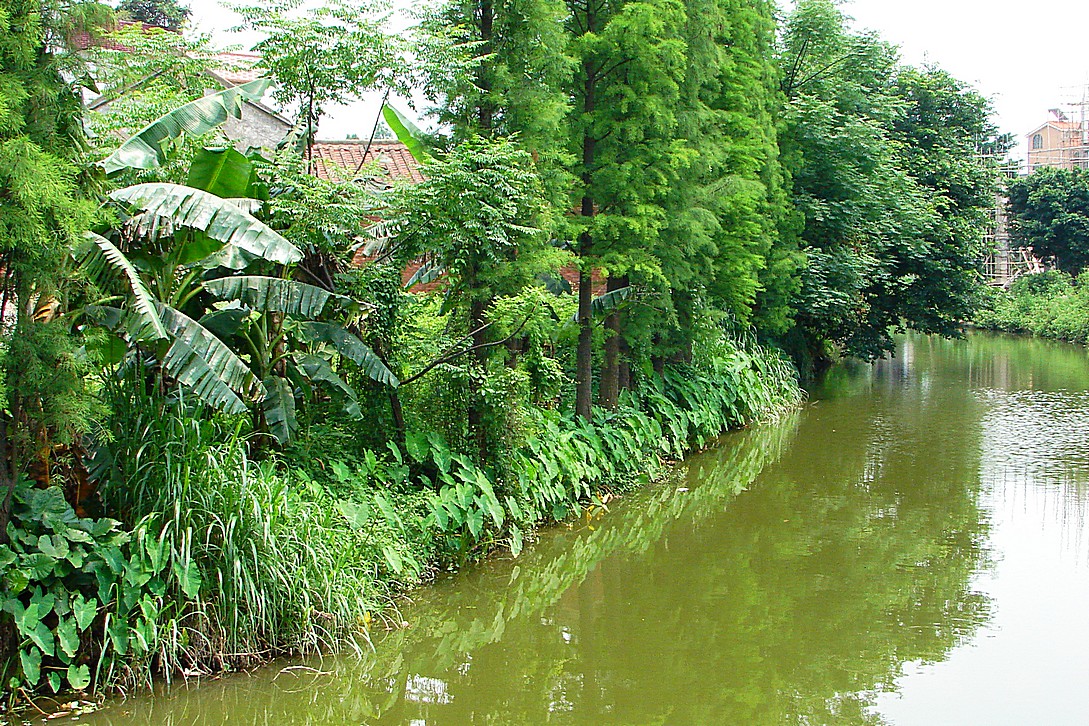 http://i.dcview.tw/gallery/201309/eb87cfe454671f381e76c202217d67f6.jpg