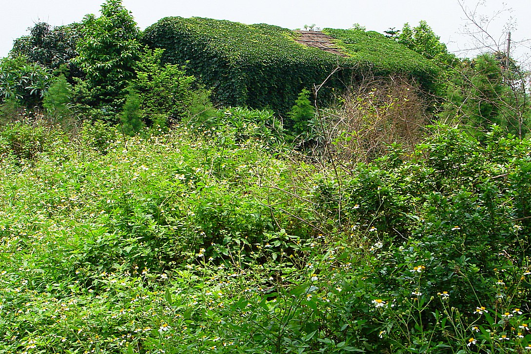 http://i.dcview.tw/gallery/201309/f03f85367d15adddf8dd63111ca4299a.jpg