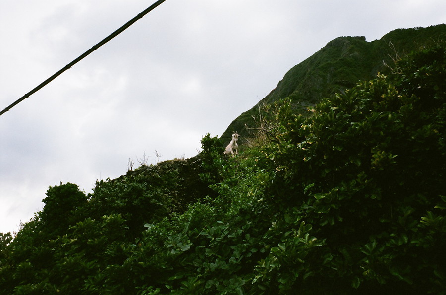 http://i.dcview.tw/gallery/201310/0baf8f89c38b53fa2984385135a418cd.jpg