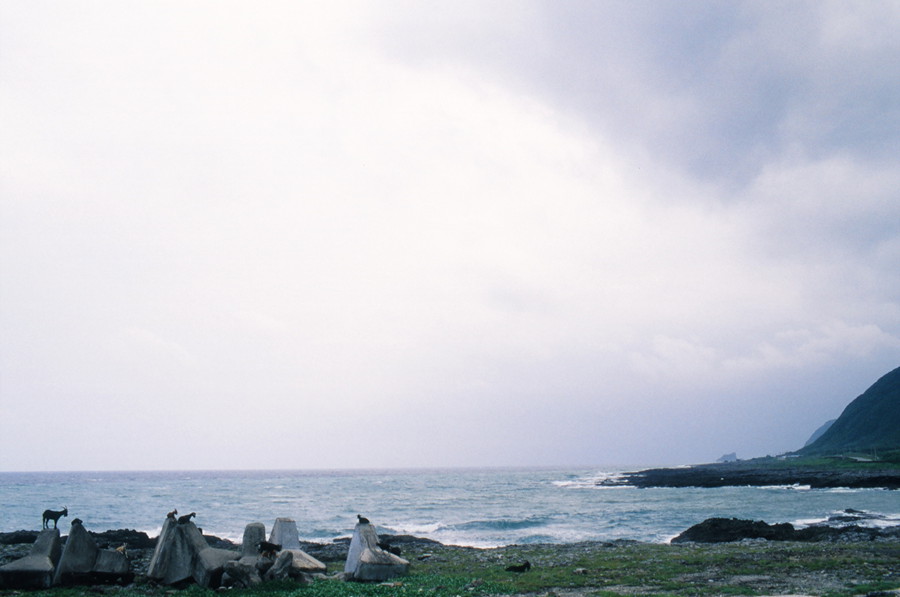 http://i.dcview.tw/gallery/201310/18357bba02c1df01c47c4e1d18769d29.jpg