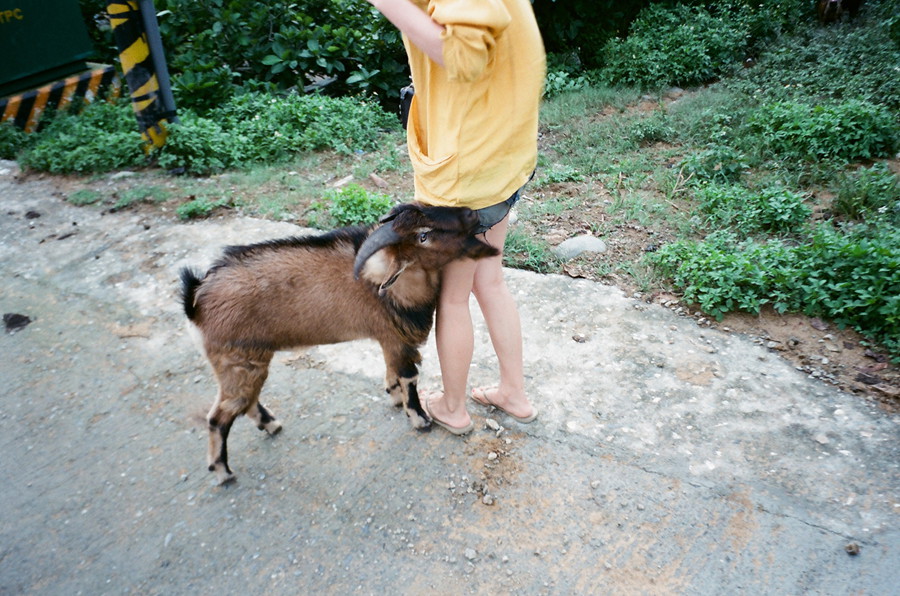 http://i.dcview.tw/gallery/201310/1ae102042a575ec390b4a433d29ed095.jpg