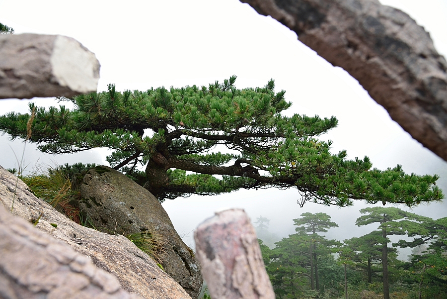 http://i.dcview.tw/gallery/201310/1dfb8abed2b1d463ef76db6fcee520a0.jpg
