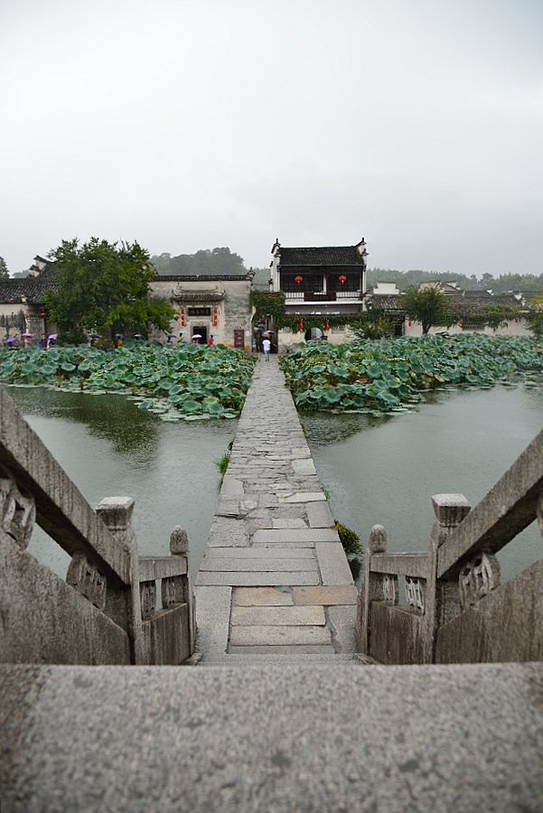http://i.dcview.tw/gallery/201310/4d550da7cf30cfcd024629b330b5ae3a.jpg