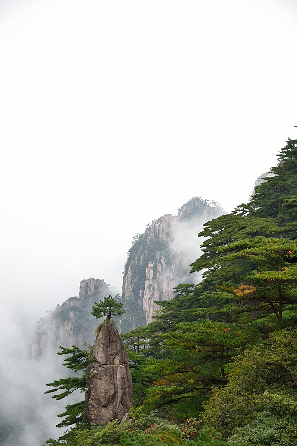 http://i.dcview.tw/gallery/201310/52b7d86c747e6b81fde566e6ef1b40ac.jpg