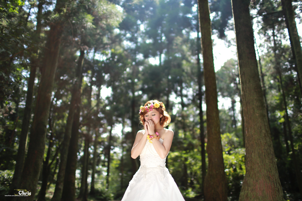 http://i.dcview.tw/gallery/201310/6d5a3303100f4c664d44cf3d1c85a368.jpg