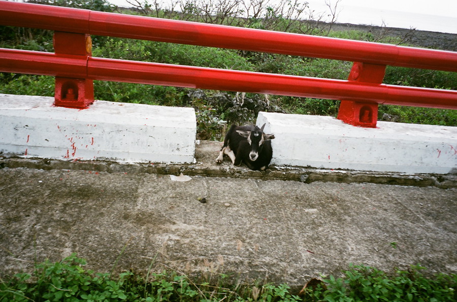 http://i.dcview.tw/gallery/201310/d60bd33916cdfc43c1145421e6c6e69b.jpg