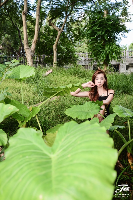 http://i.dcview.tw/gallery/201310/e5a480b7bffd8cb183b36d61111db614.jpg