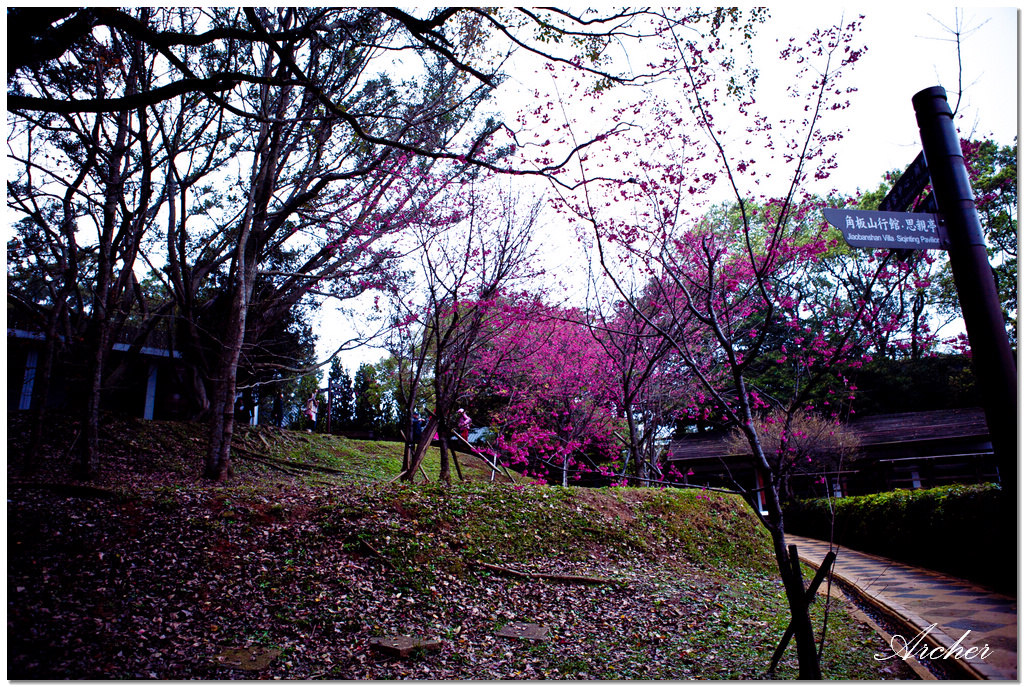 http://i.dcview.tw/gallery/201310/f9358e8939d54f187166d62d69cef218.jpg