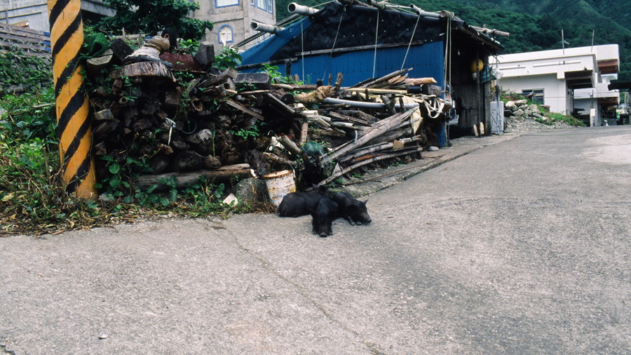http://i.dcview.tw/gallery/201310/f9fb4c979280fd94f523f56f8b7902fc.jpg