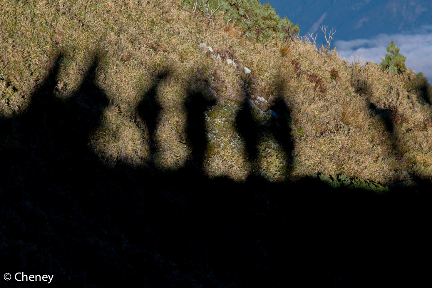 http://i.dcview.tw/gallery/201311/046ac4c7ff6bc9d370441d71c4d081a1.jpg