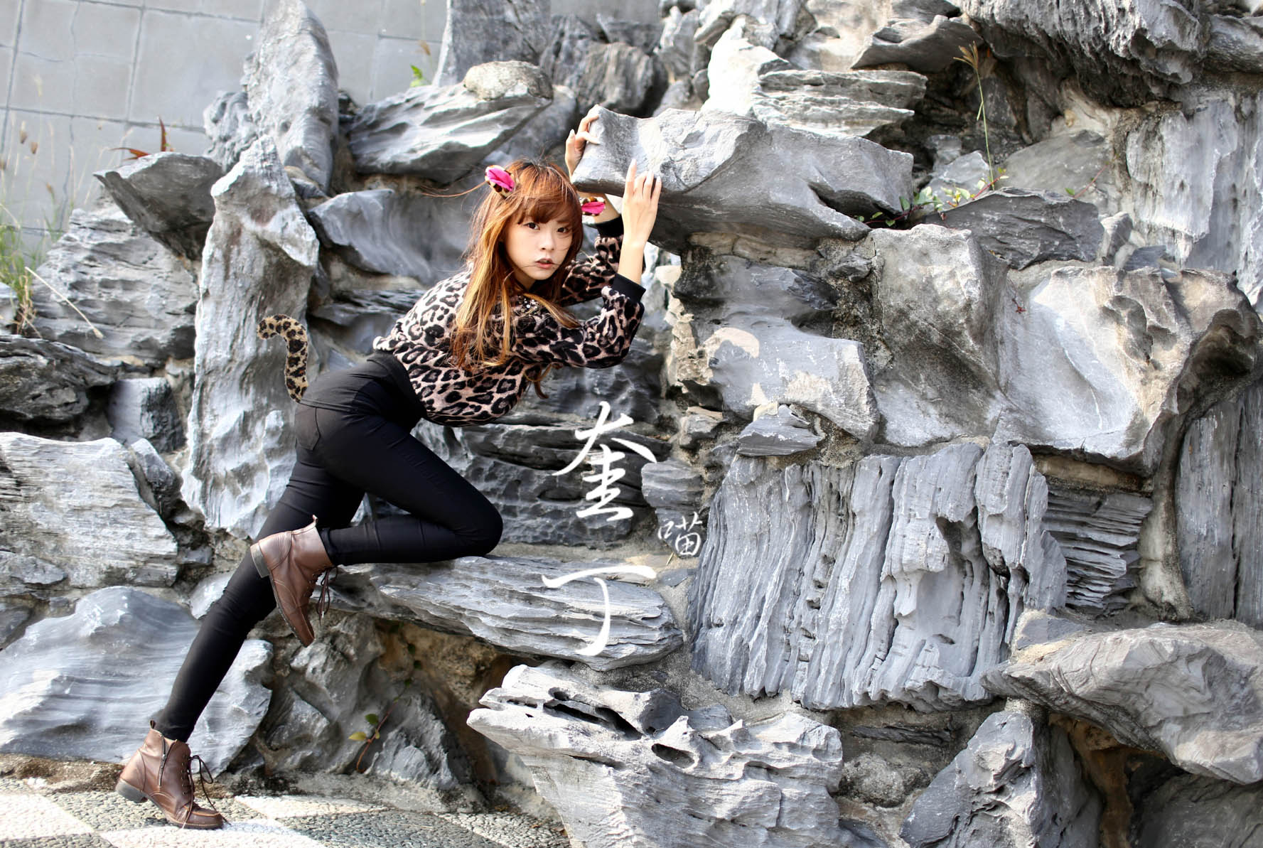 http://i.dcview.tw/gallery/201311/052ca08068e544f54cd60eba372d9056.jpg