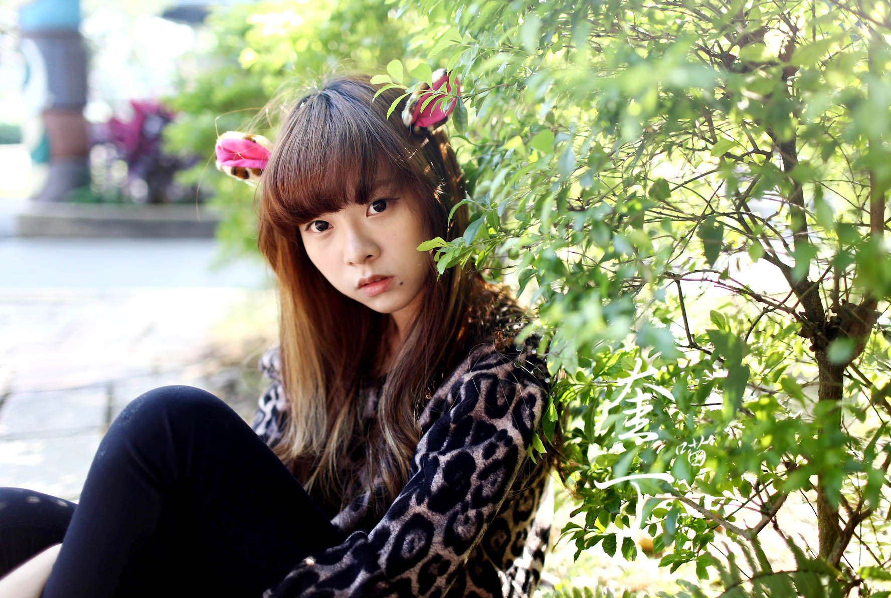 http://i.dcview.tw/gallery/201311/1d6cc9e2b8bbb20e1099c85a4ceb575f.jpg