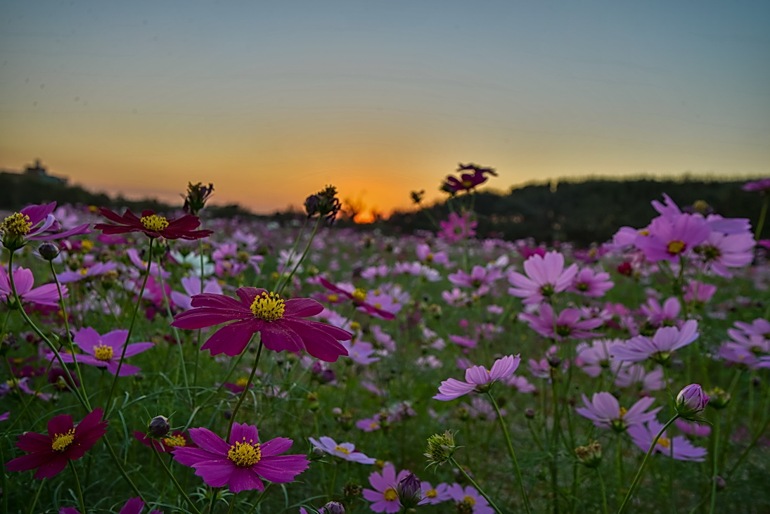 http://i.dcview.tw/gallery/201311/2028398cf957bfa7db616cdecb6b6813.jpg