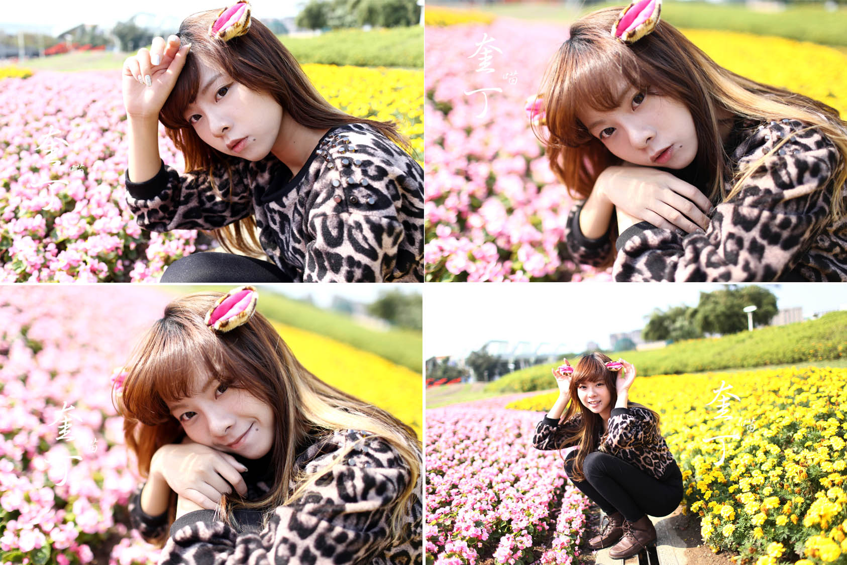 http://i.dcview.tw/gallery/201311/2578f39180f9765c37e99fd6d89fd854.jpg
