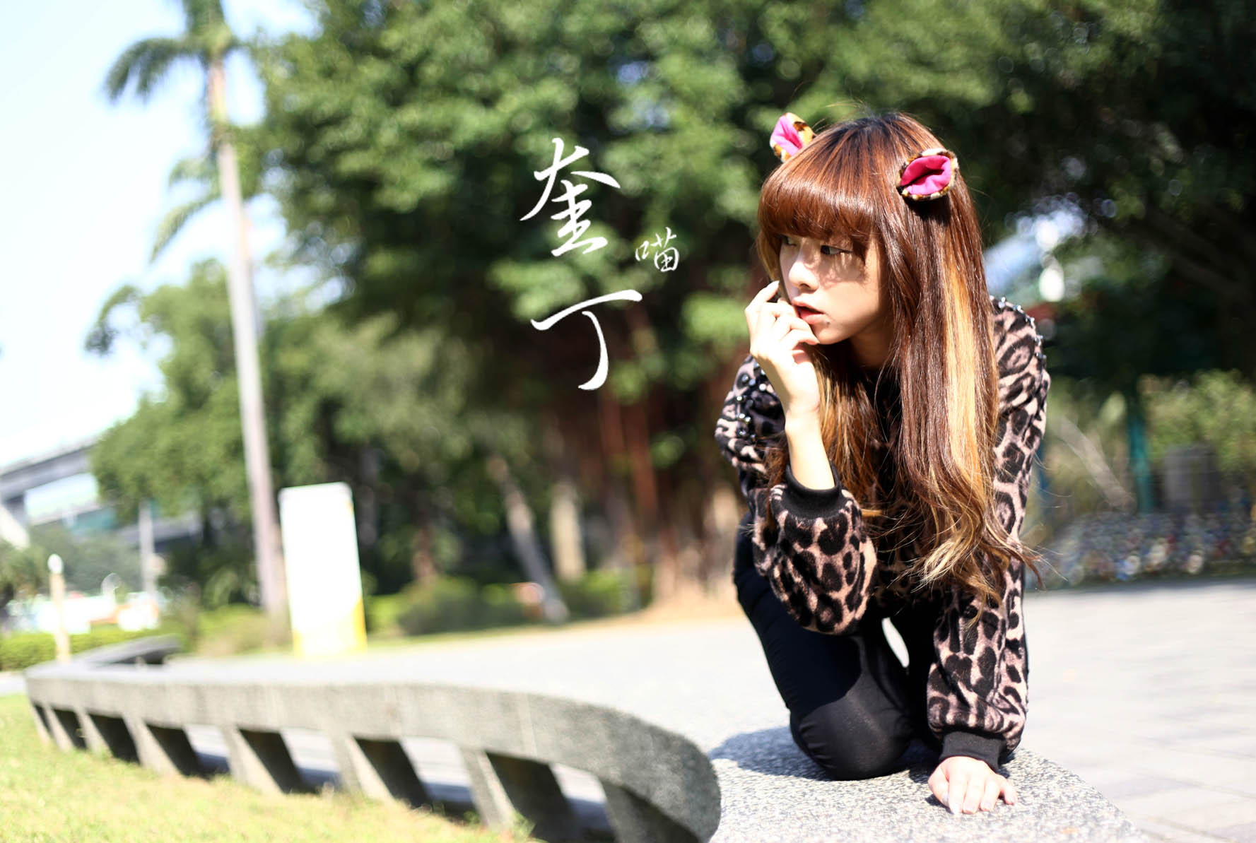 http://i.dcview.tw/gallery/201311/2cdd3c0b8c1608c43332e49dcc536b10.jpg