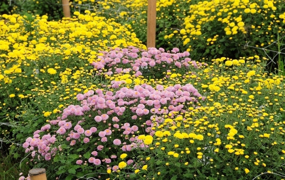http://i.dcview.tw/gallery/201311/37eaf4d9fd312cfa853149d7cf3b251e.jpg