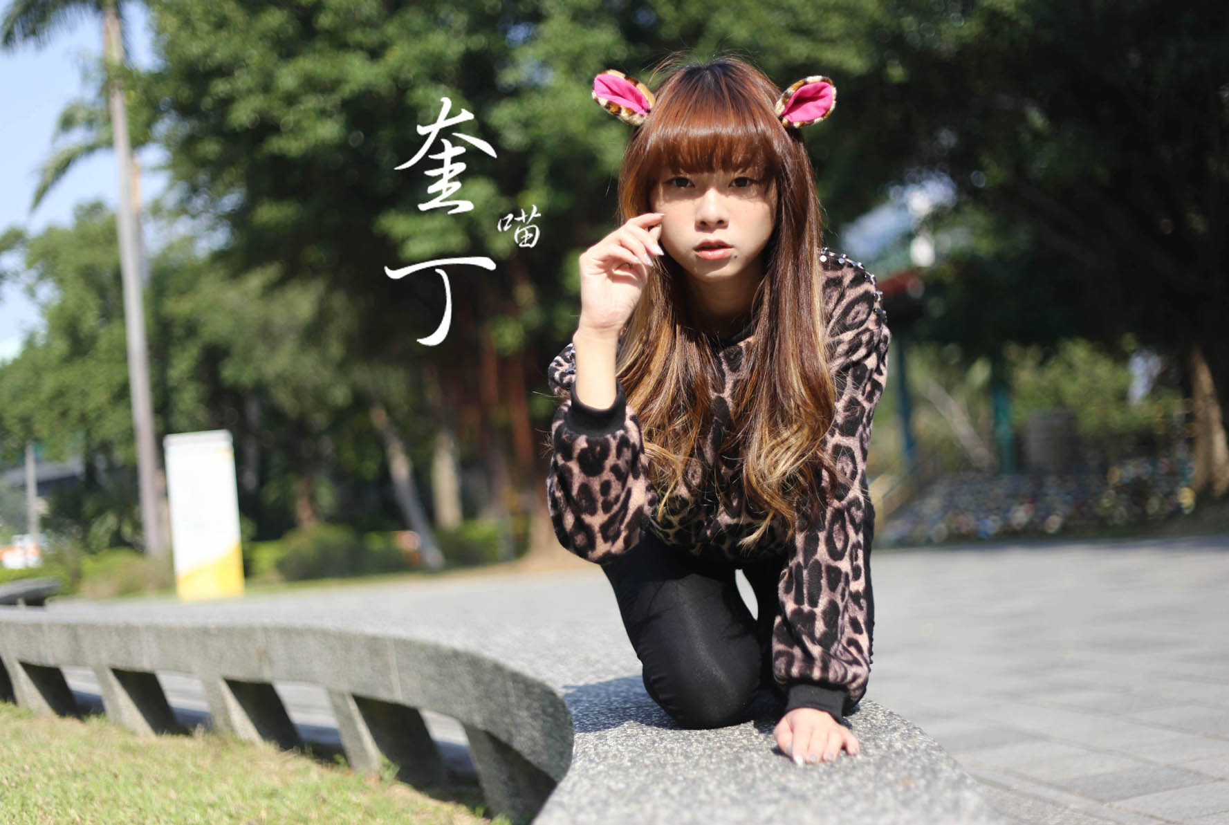 http://i.dcview.tw/gallery/201311/3c153663241ded55bbaad0e4bf8f904e.jpg