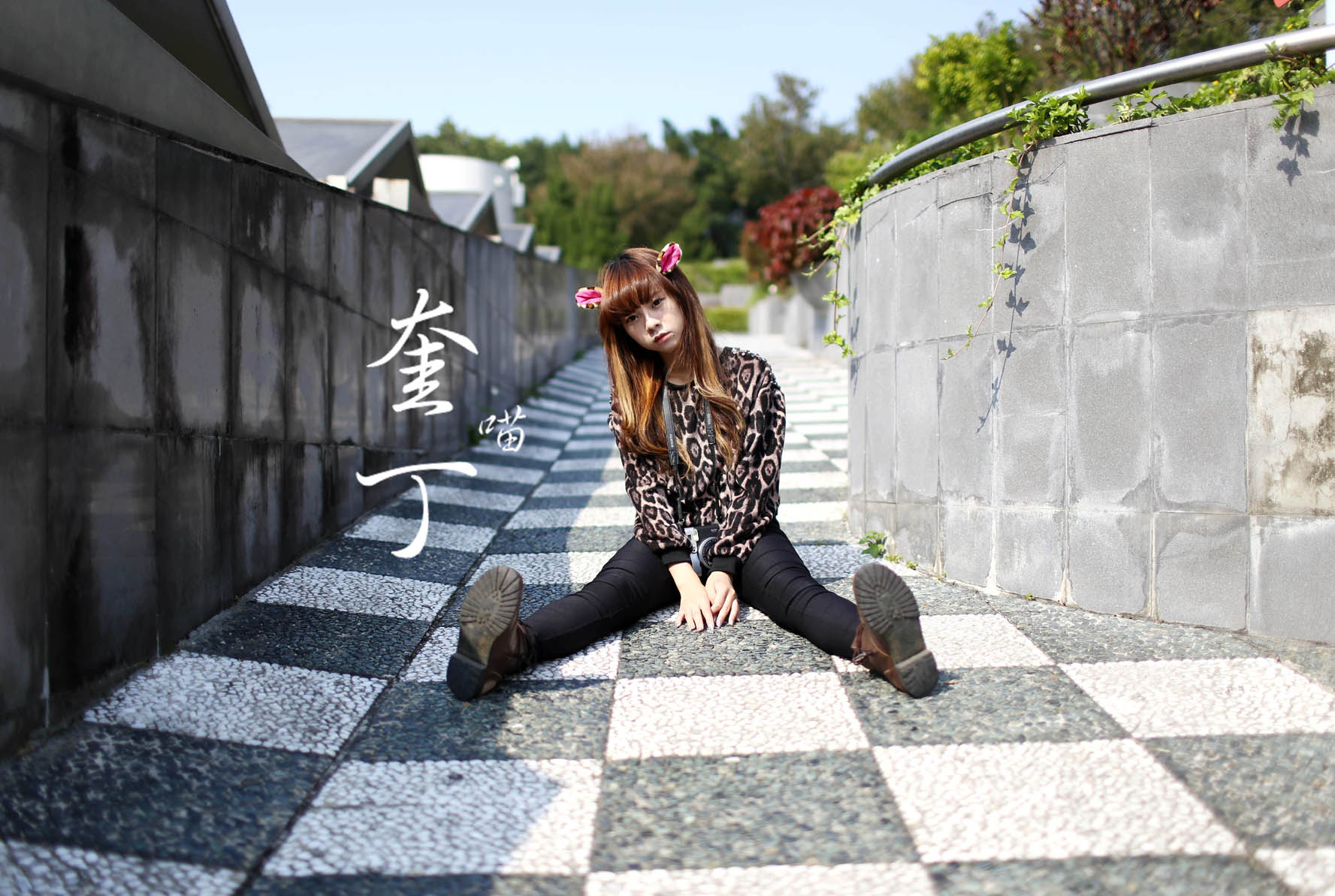 http://i.dcview.tw/gallery/201311/3ed0f2d9b7044e1e208cee4d6a610255.jpg