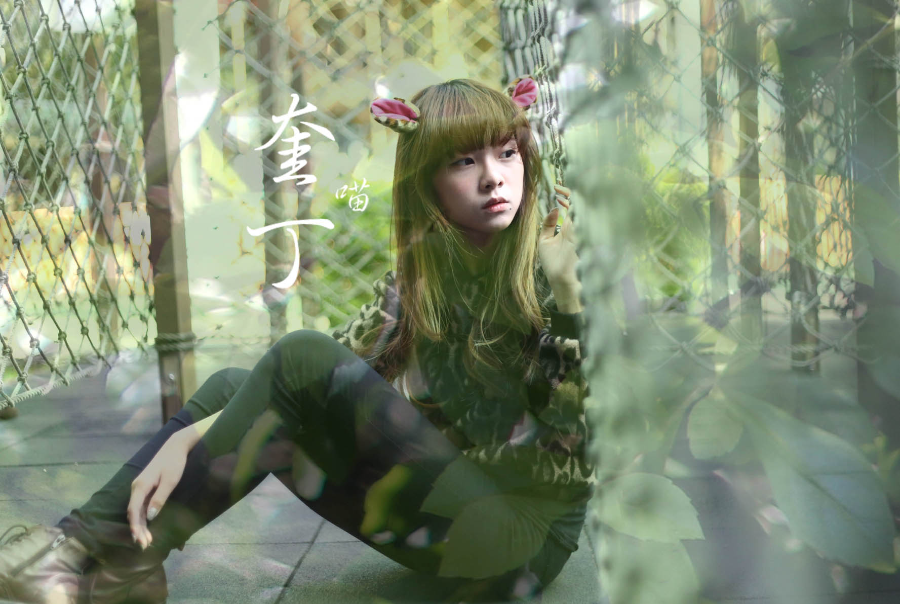 http://i.dcview.tw/gallery/201311/52c1f5aeb6906cf162d30dc6ed5f345f.jpg
