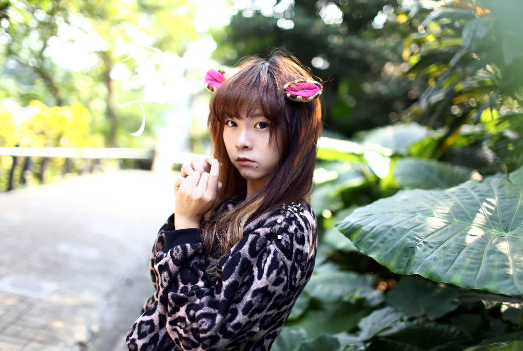 http://i.dcview.tw/gallery/201311/53f7f926563721575de0586c9ea2f6aa.jpg