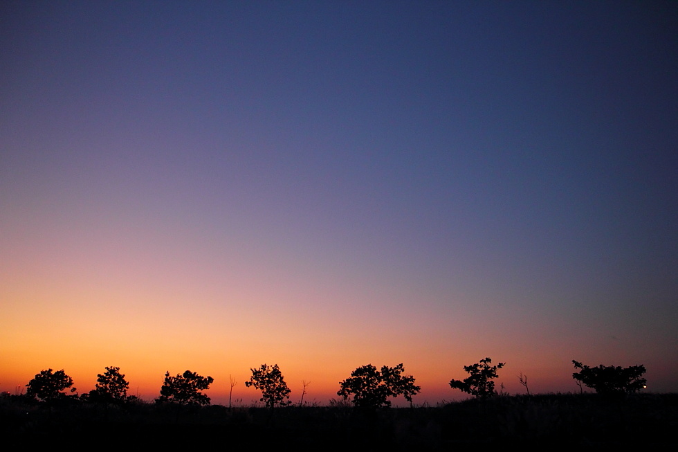 http://i.dcview.tw/gallery/201311/593077ec91a73c0a48e7f2c22befd722.jpg