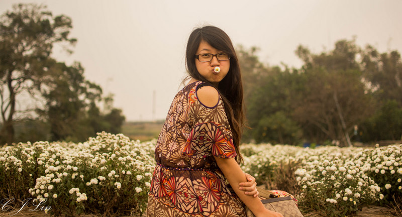 http://i.dcview.tw/gallery/201311/5e47ac6b0fd0b8a0d09e02708be176c6.jpg