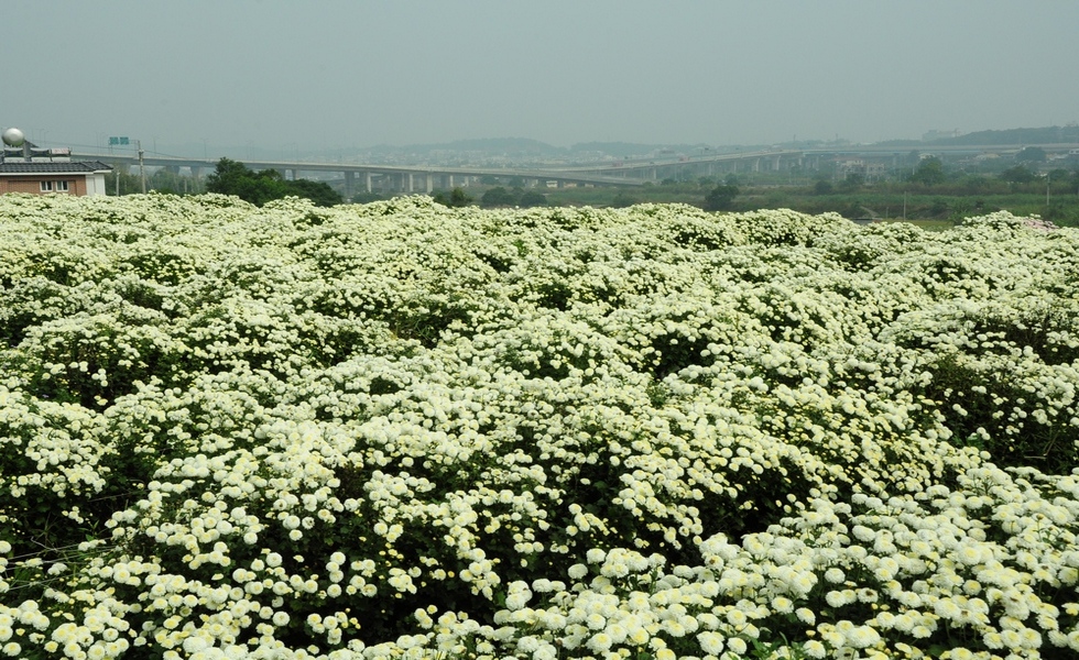 http://i.dcview.tw/gallery/201311/5e6a0759192d2980cf30c9416094c9d3.jpg