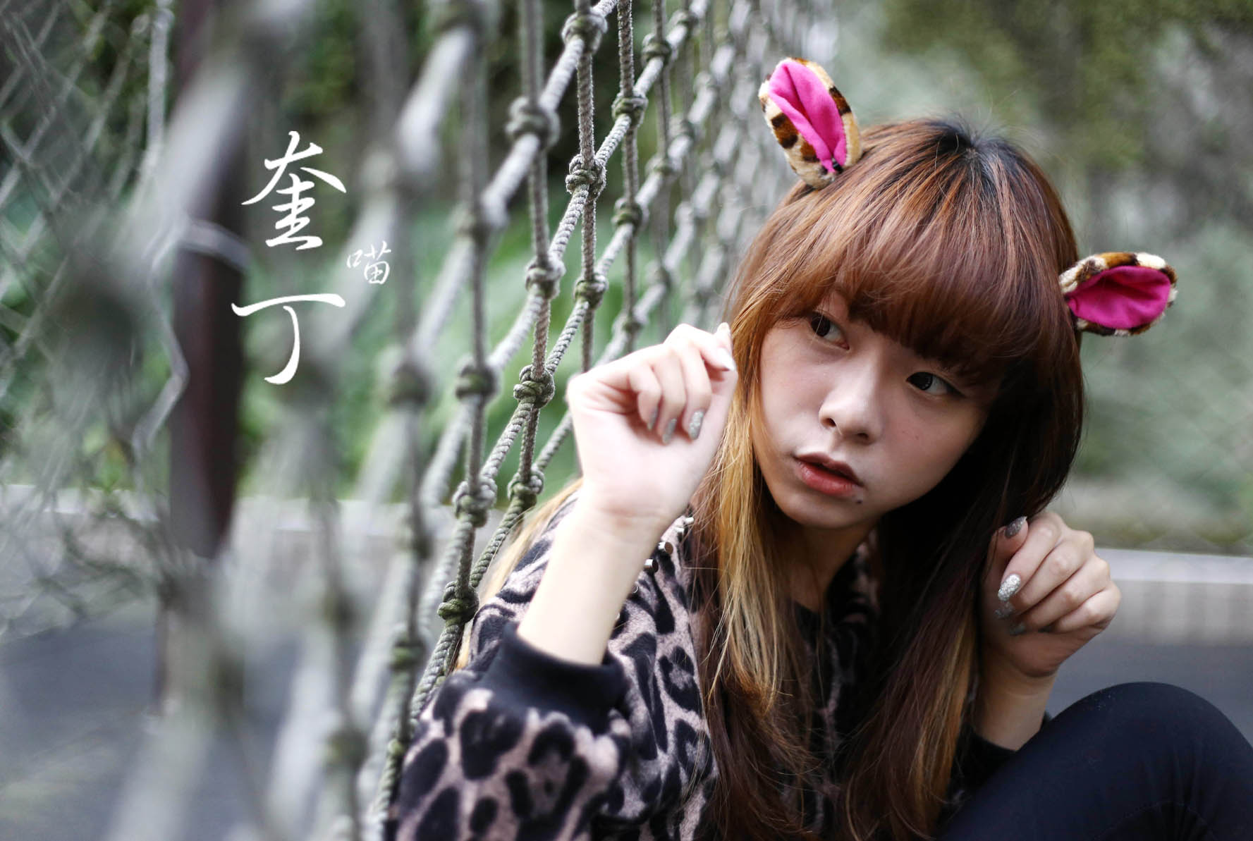 http://i.dcview.tw/gallery/201311/75f2508426fa25aba891a5280b8a9afe.jpg