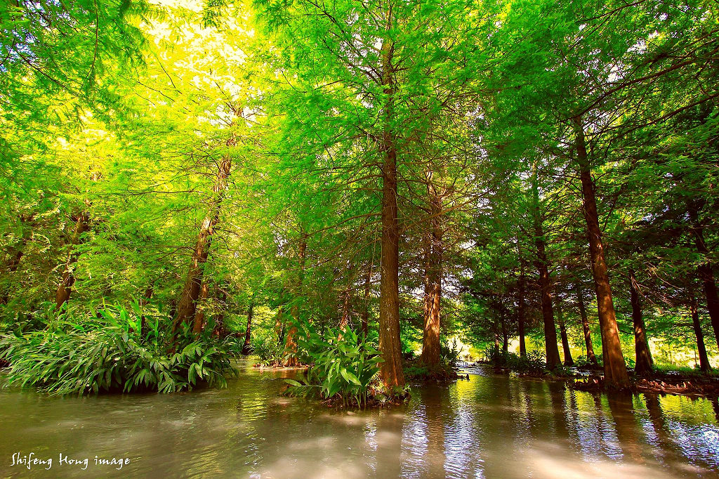 http://i.dcview.tw/gallery/201311/81edab7ec07061d53155bc299534de35.jpg