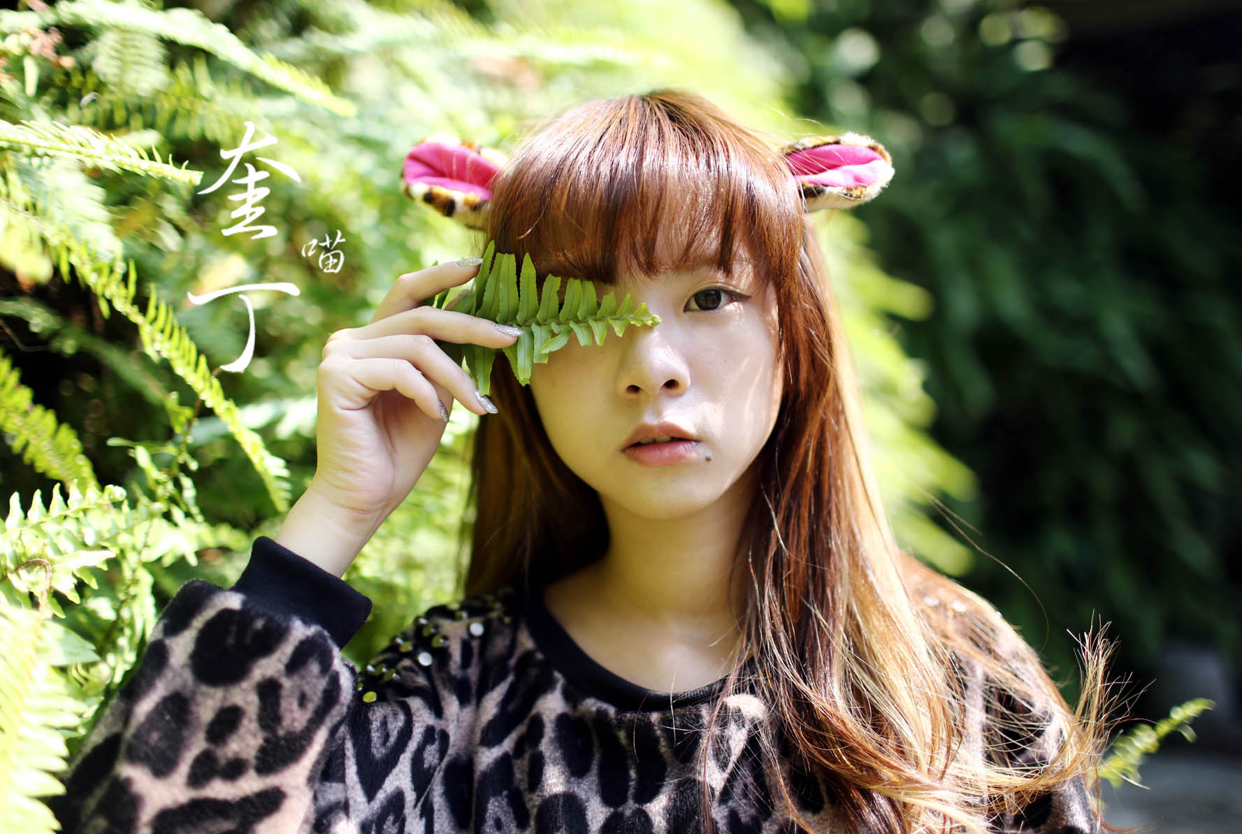 http://i.dcview.tw/gallery/201311/8d541ddd89f4fe872c740d8e00ff451d.jpg