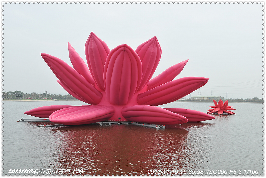 http://i.dcview.tw/gallery/201311/98b4dd80cb25049862216c9cb665e001.jpg