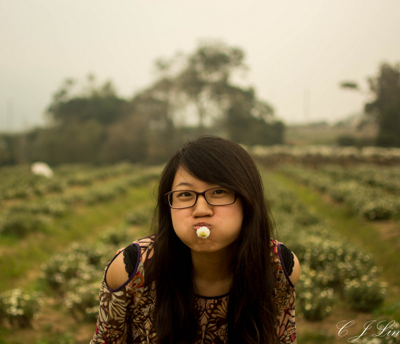 http://i.dcview.tw/gallery/201311/a23a2051561d66af6ac751c572a40dcf.jpg