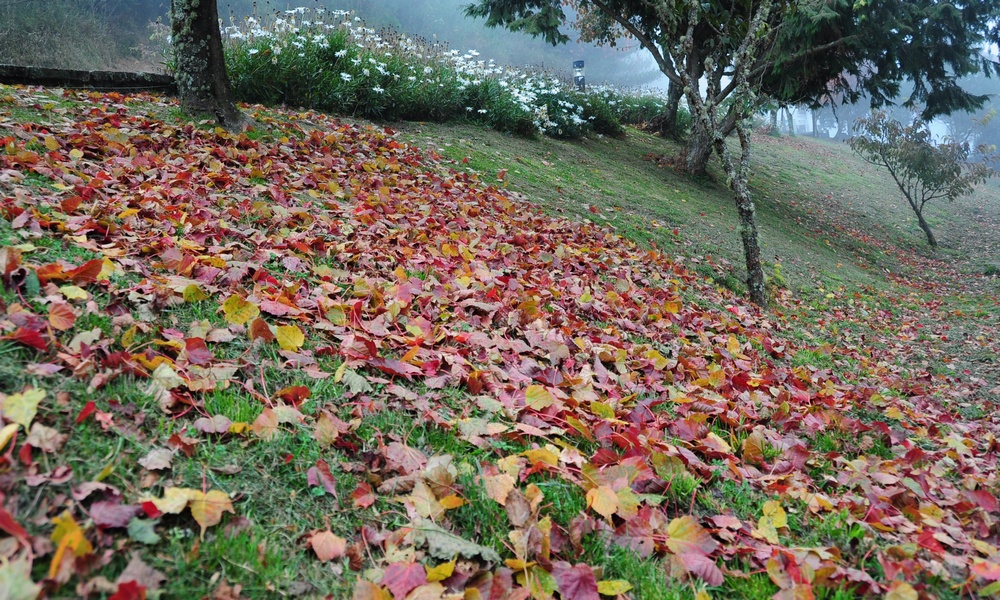 http://i.dcview.tw/gallery/201311/a2fb4f96846fafef94165ac887160705.jpg