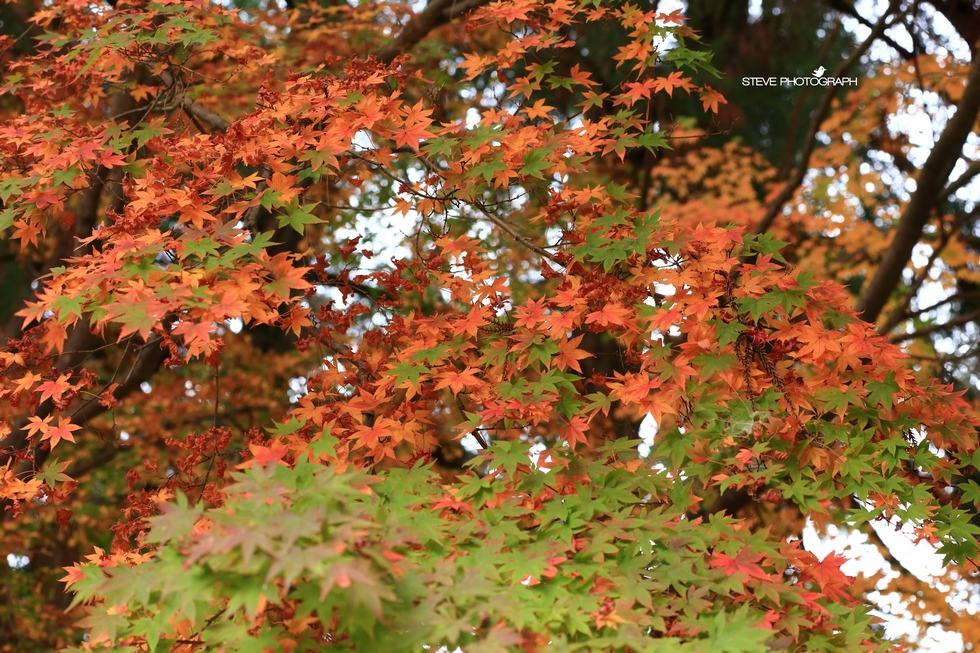 http://i.dcview.tw/gallery/201311/ac38b7840457fe0242e03ac55c9d422f.jpg