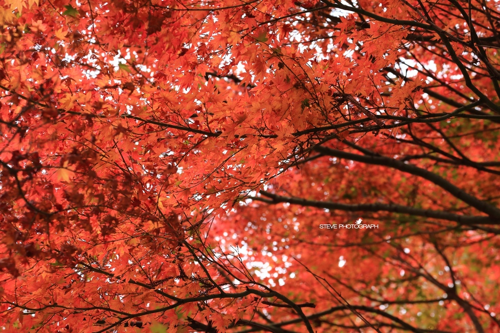 http://i.dcview.tw/gallery/201311/ae79db7a74c5b3db88bddc029f95a840.jpg