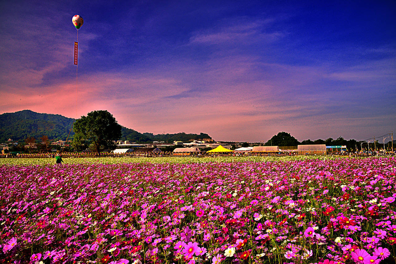 http://i.dcview.tw/gallery/201311/b47a35867a5f91d416ec8820425bc07c.jpg