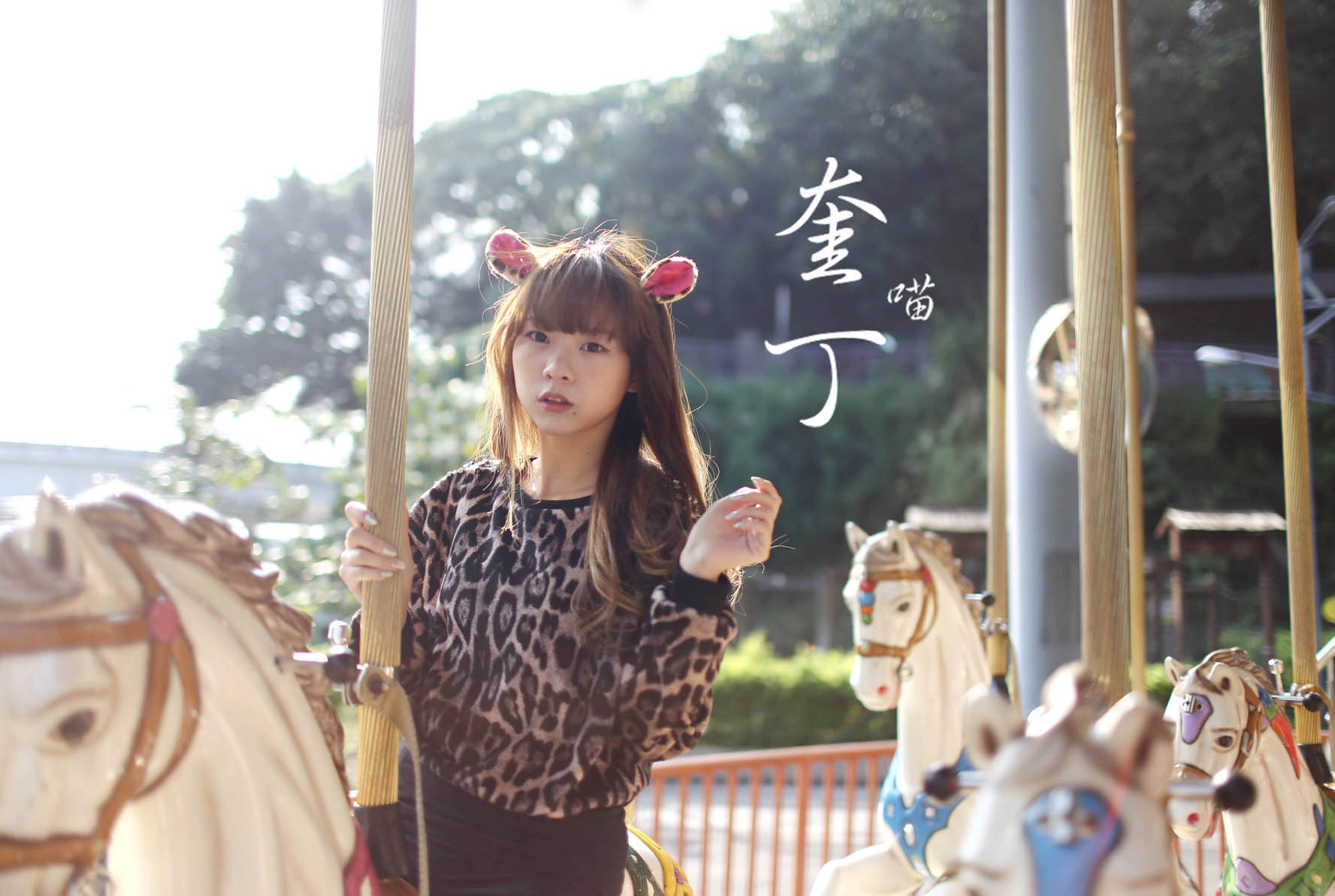 http://i.dcview.tw/gallery/201311/b6aadd579365df7d102f1ca0745427b3.jpg