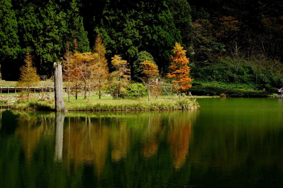 http://i.dcview.tw/gallery/201311/c68708da5a4c641d09d2fa83351d2659.jpg