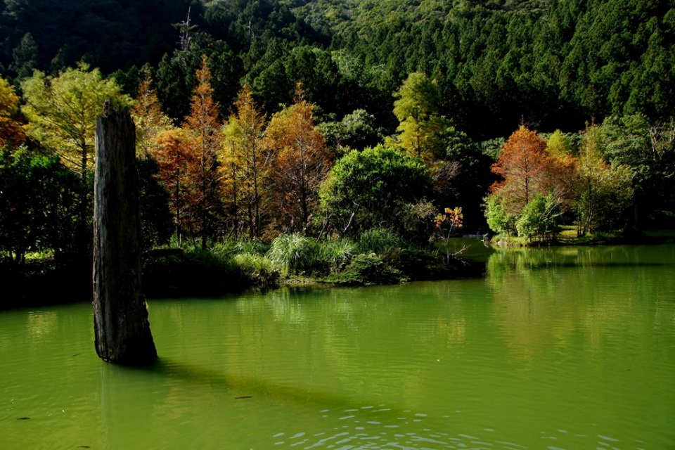 http://i.dcview.tw/gallery/201311/d04f080028772a82d6197a13b0df2716.jpg
