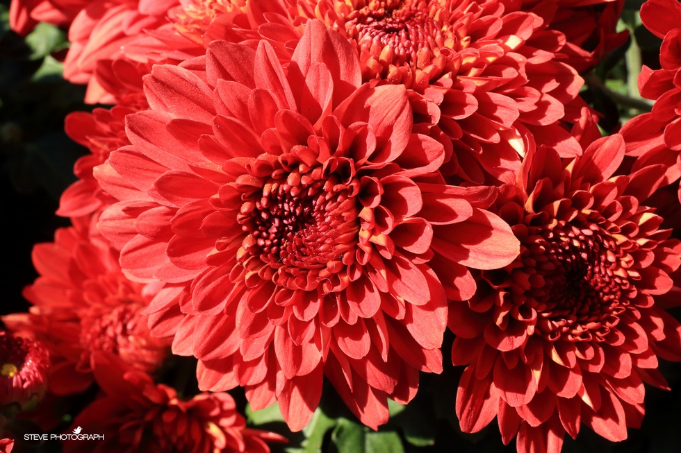 http://i.dcview.tw/gallery/201311/d49ec2db87191f2967961e55af590a0b.jpg