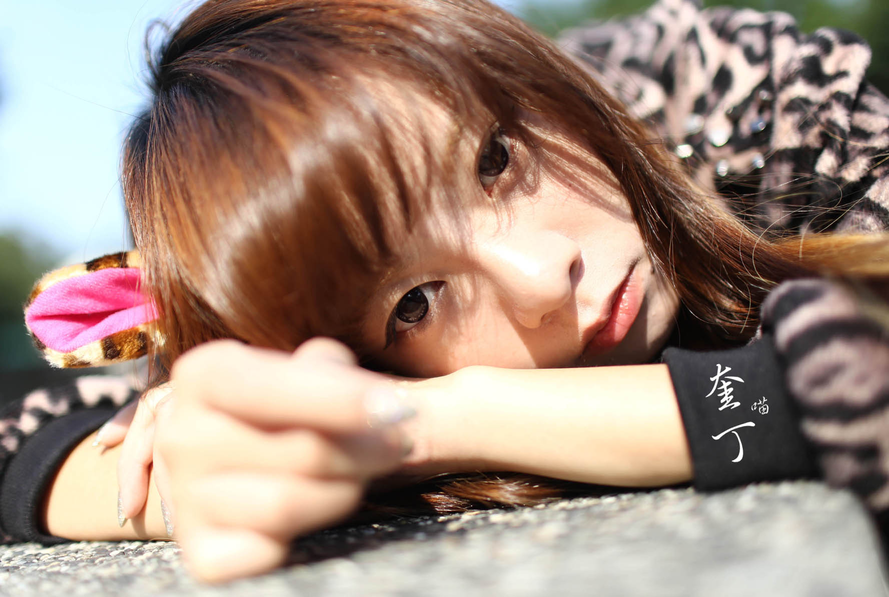 http://i.dcview.tw/gallery/201311/d70fd293f460a1c36013cdfe19b82418.jpg