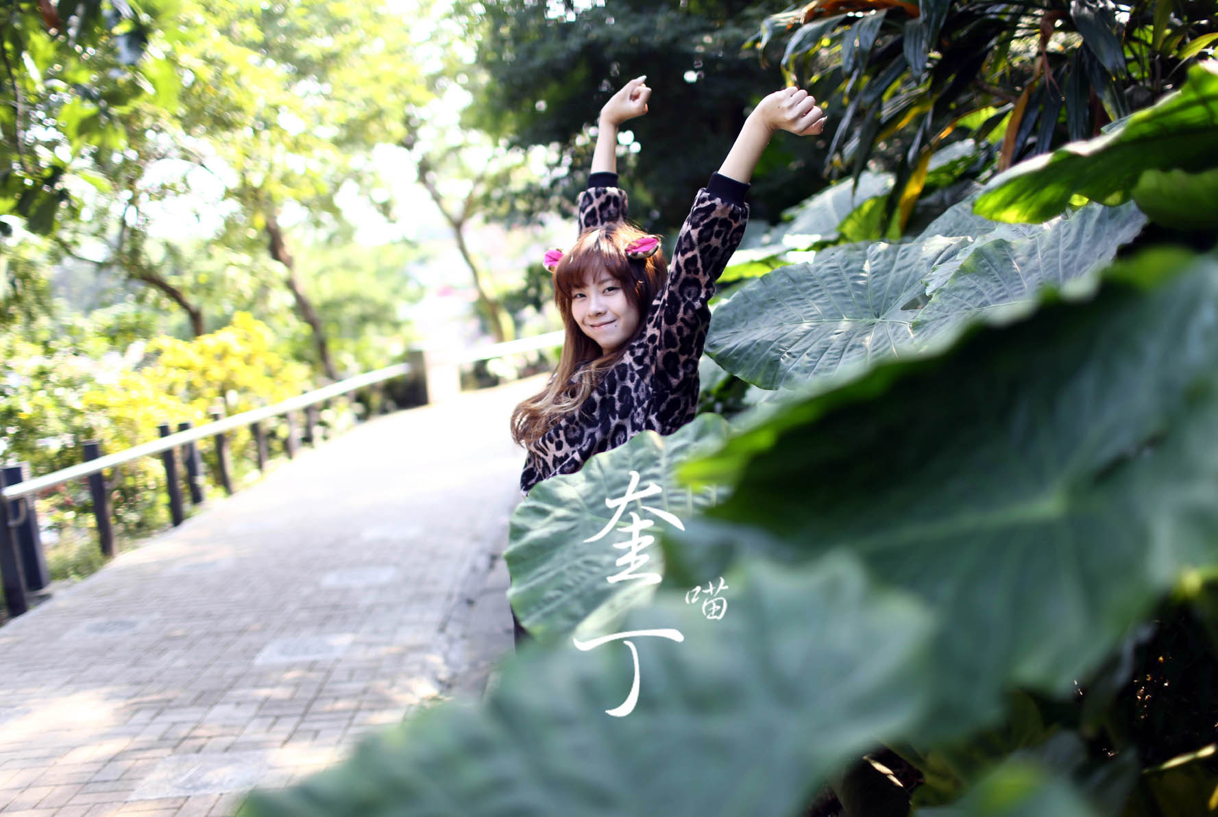 http://i.dcview.tw/gallery/201311/eaeffc43489caf59b8b0d8845998ea18.jpg