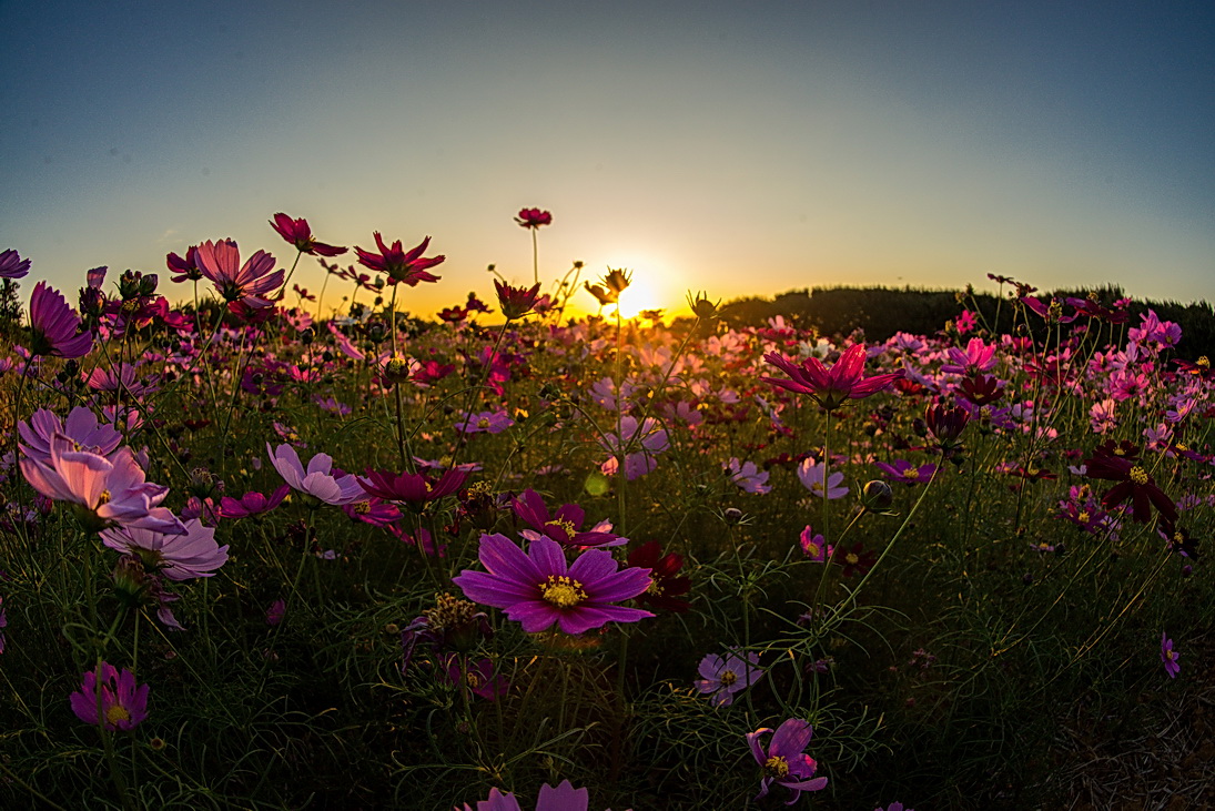 http://i.dcview.tw/gallery/201311/ebf953d3c7eb51a2dbee63d028638340.jpg