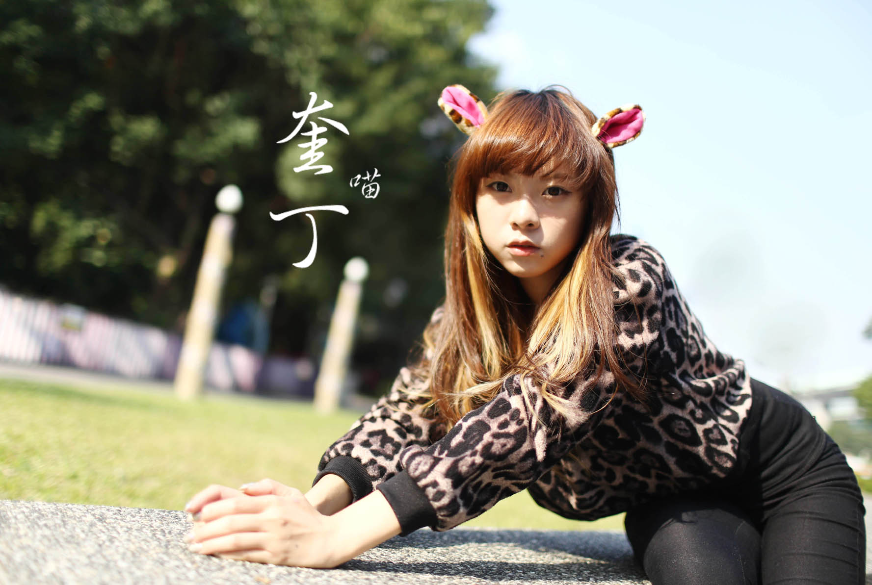 http://i.dcview.tw/gallery/201311/eeeb299ebc661e24f3b4e2ec5d2e03f2.jpg