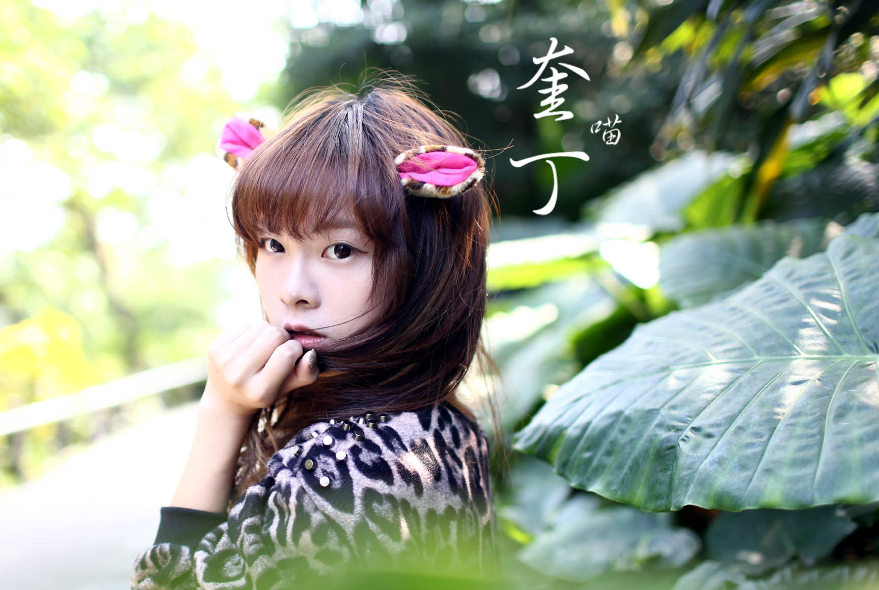 http://i.dcview.tw/gallery/201311/f03269e3f06084fe4bee430dc642304d.jpg
