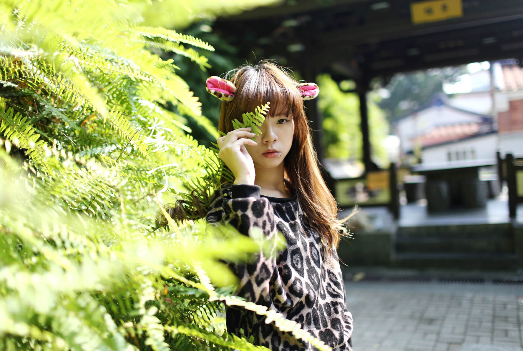 http://i.dcview.tw/gallery/201311/fbc34cb260e4bd1159e0b592bf1c22ab.jpg