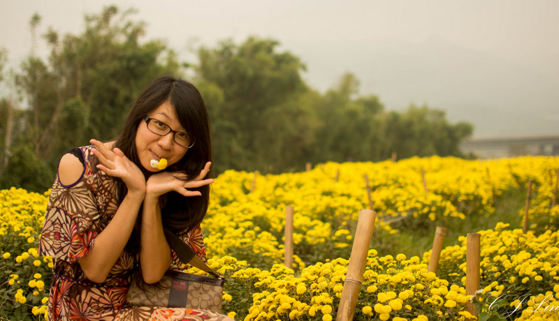 http://i.dcview.tw/gallery/201311/fd61fbf25760bcb2a0a701d5f5583c37.jpg
