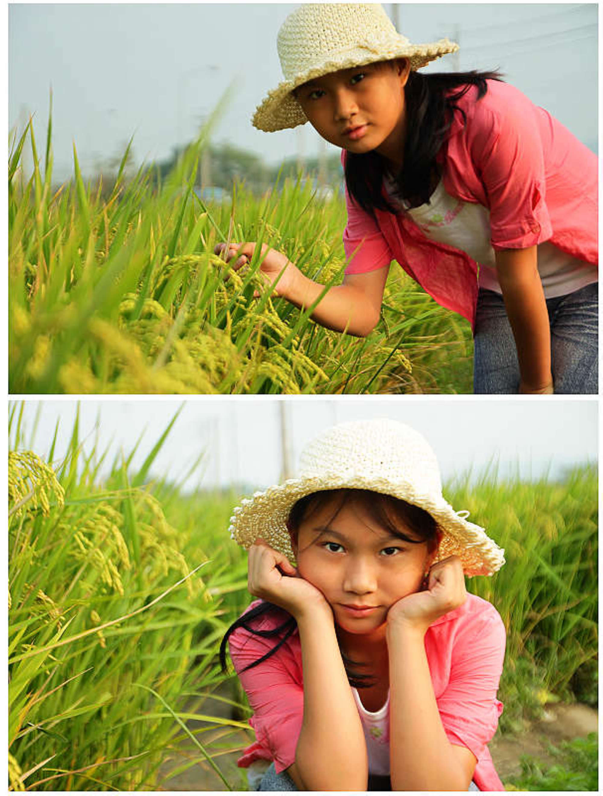 http://i.dcview.tw/gallery/201312/03631a52ab054fda4093eb81547c2d1d.jpg