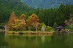 ~~明池楓紅時~~